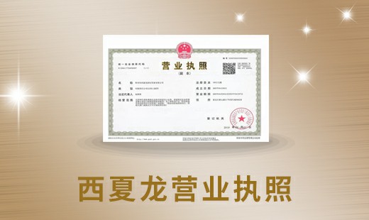 Business License